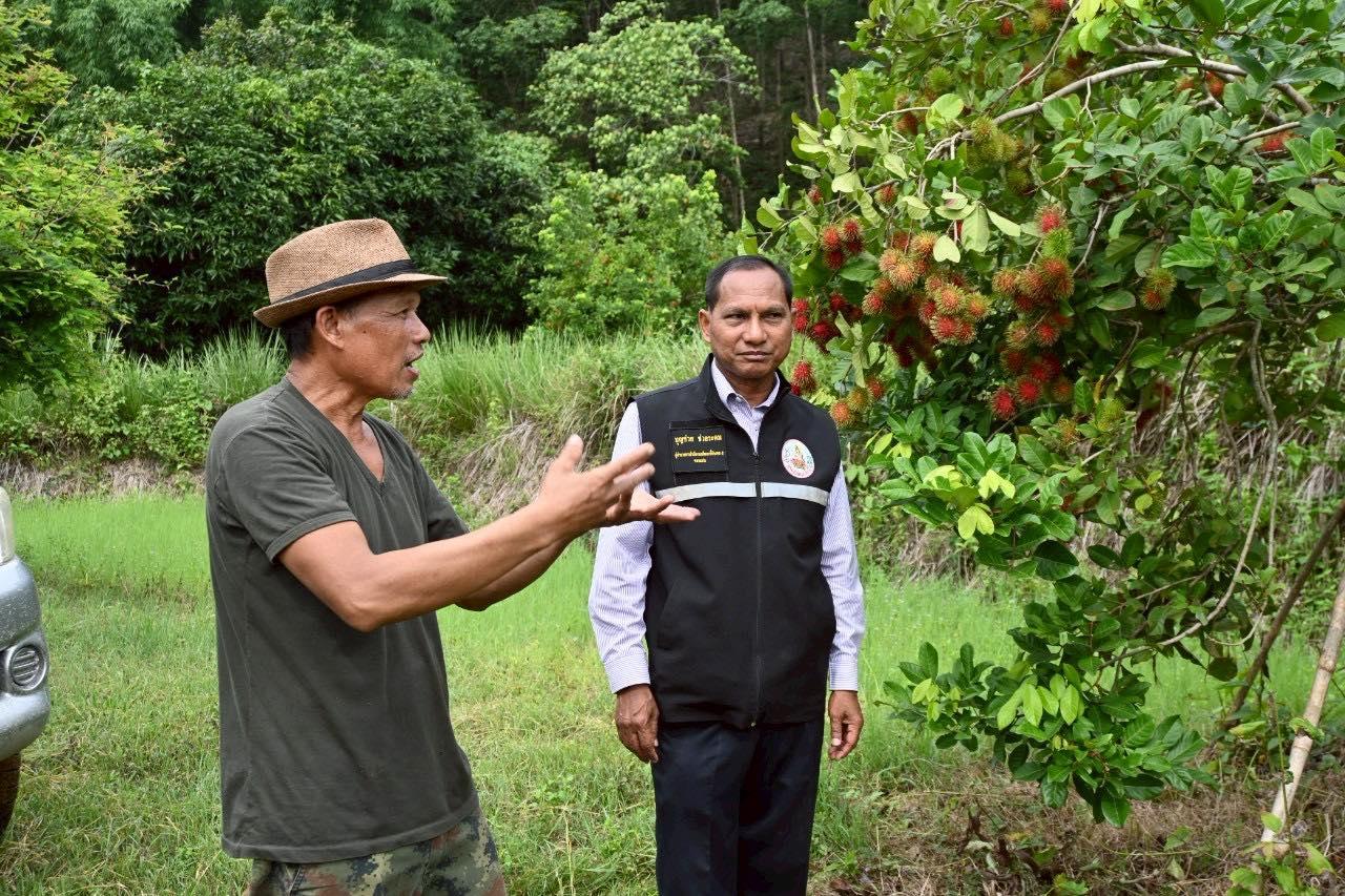 ภาพประกอบที่ 1