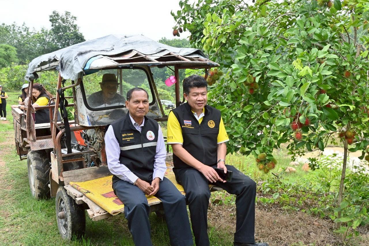 ภาพประกอบที่ 2