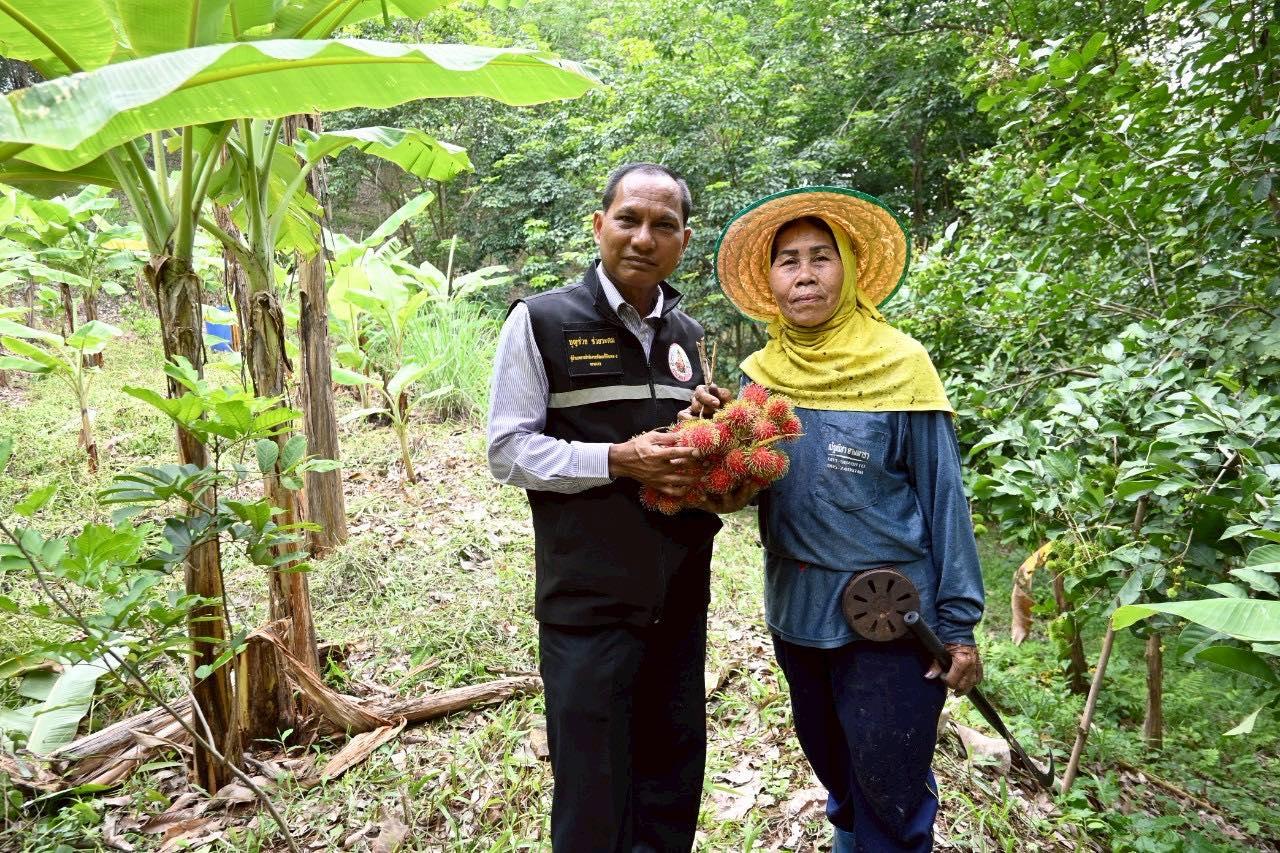 ภาพประกอบที่ 4