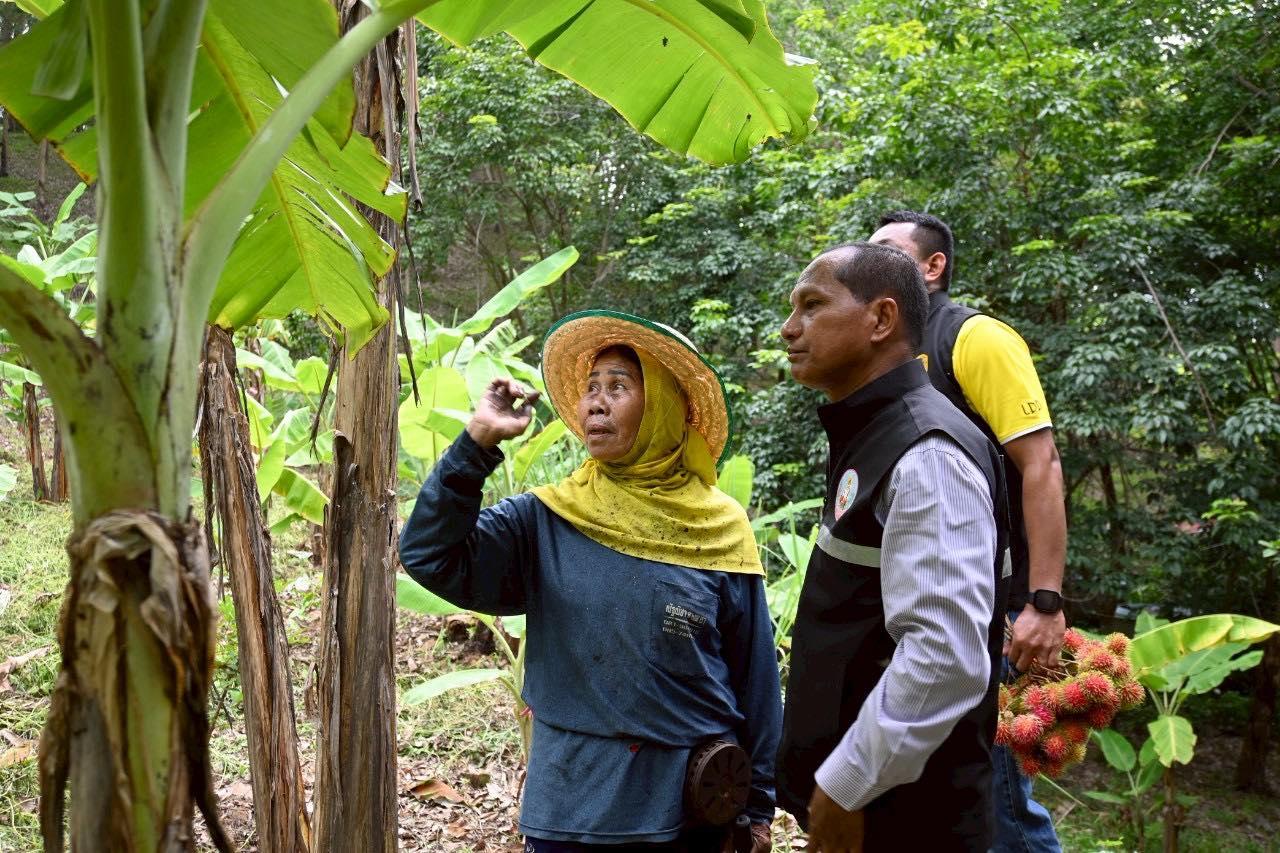 ภาพประกอบที่ 8