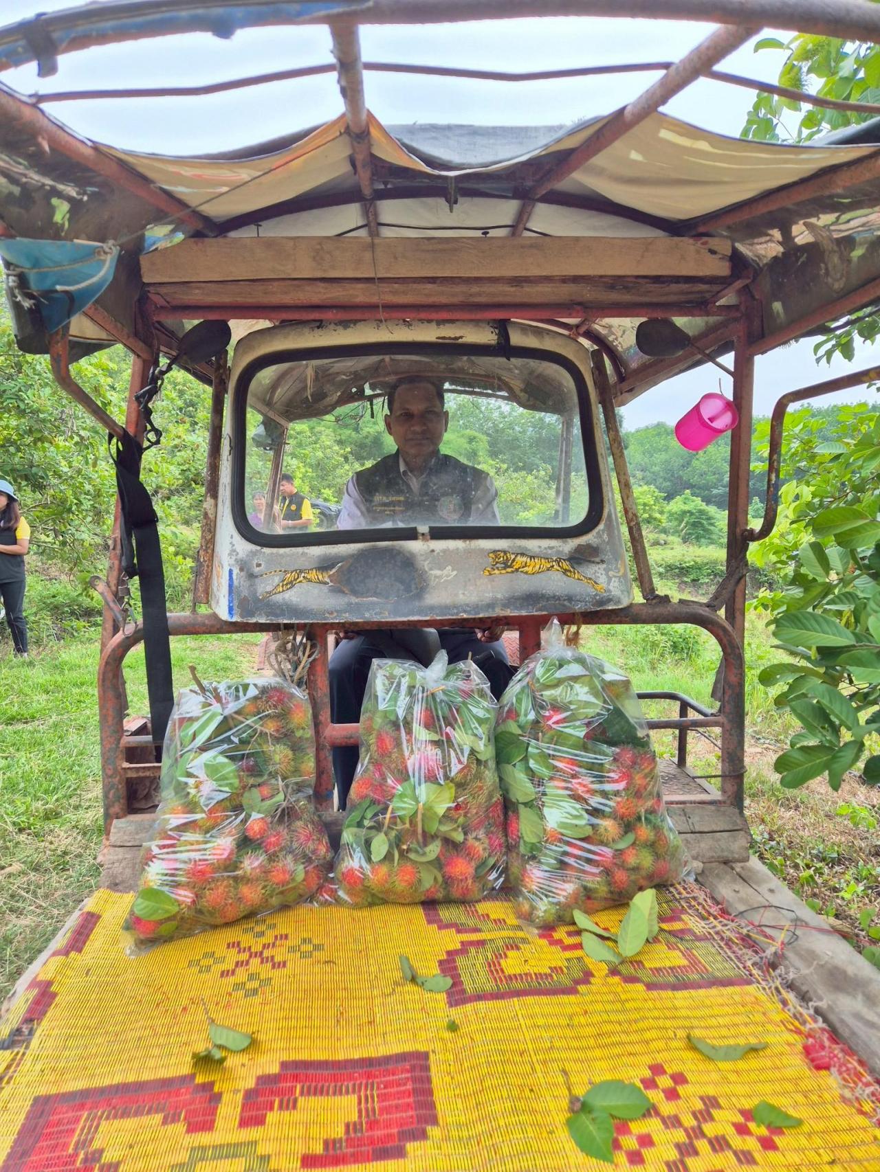 ภาพประกอบที่ 10