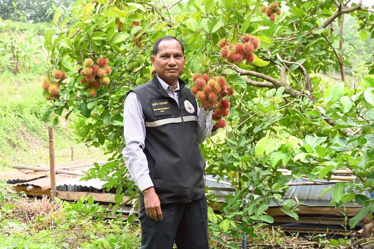 ภาพประกอบที่ 11