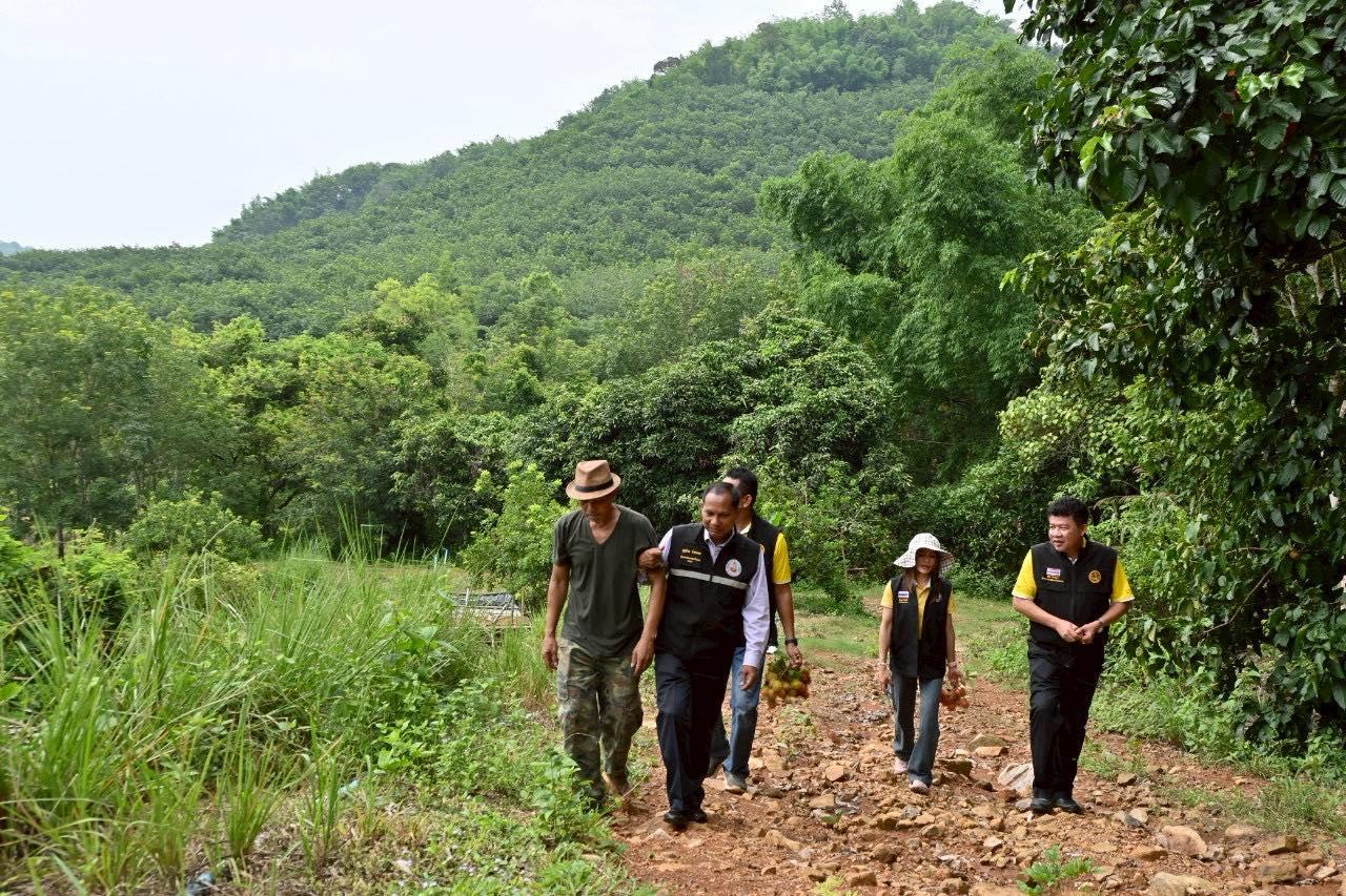 ภาพประกอบที่ 12