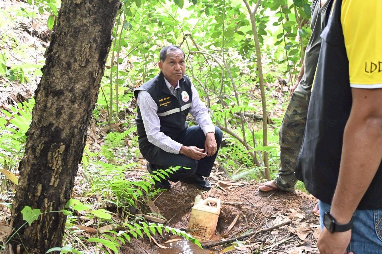 ภาพประกอบที่ 13