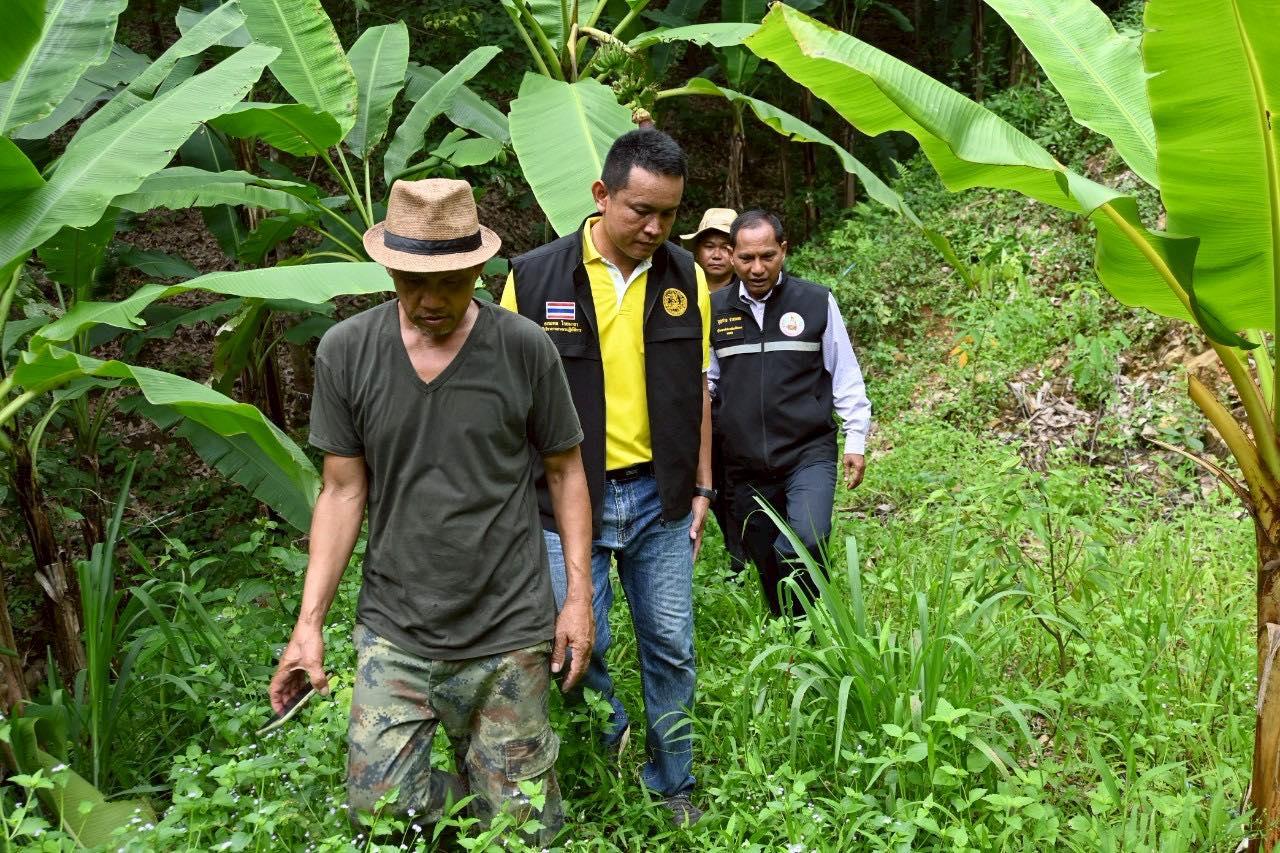 ภาพประกอบที่ 14