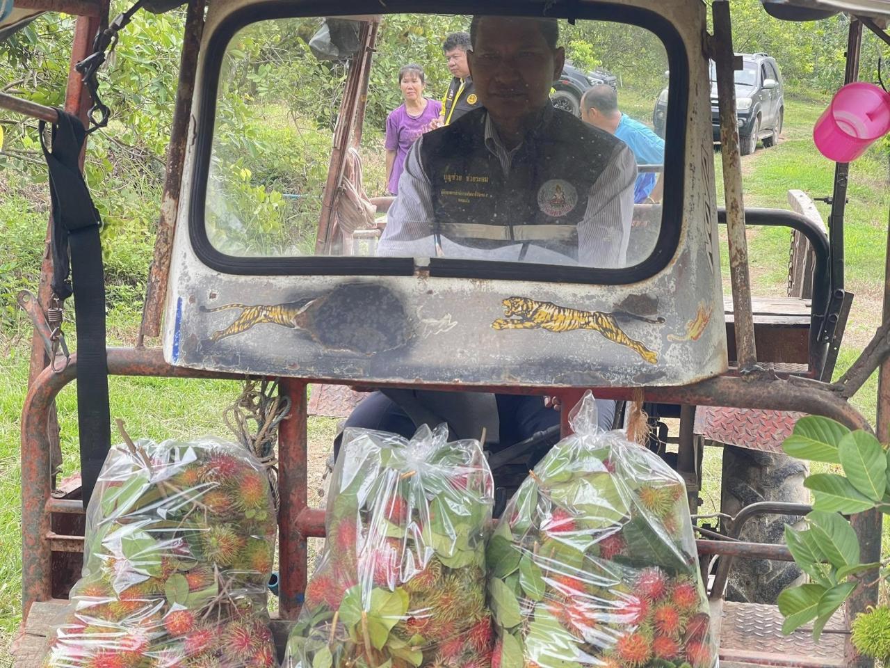 ภาพประกอบที่ 15