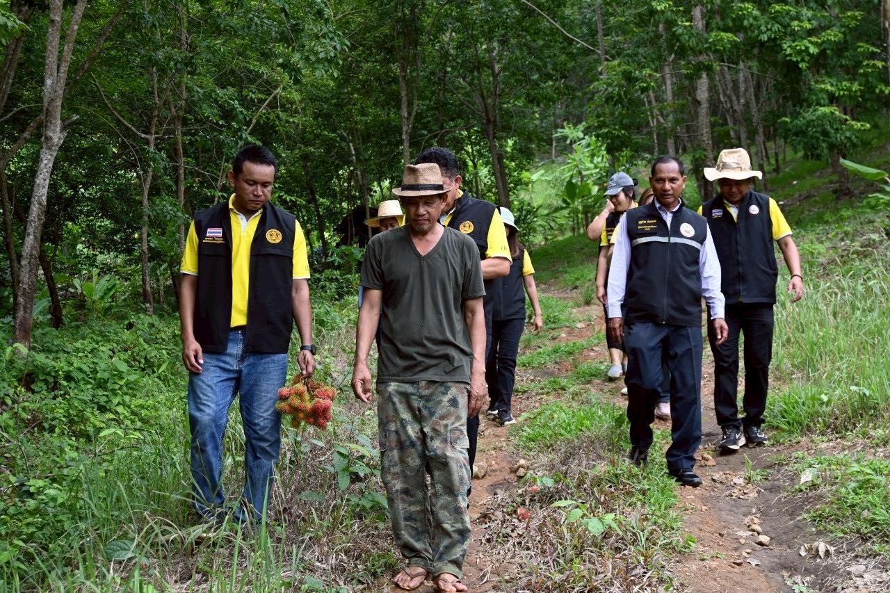 ภาพประกอบที่ 17