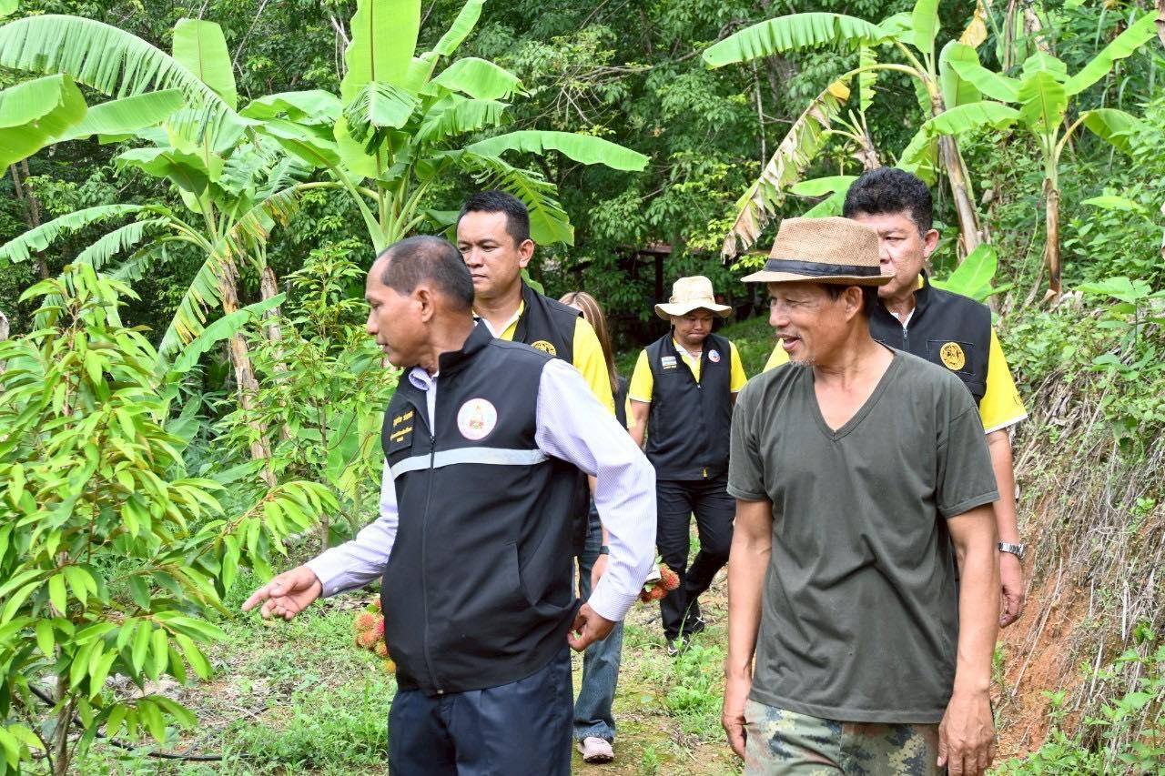ภาพประกอบที่ 19