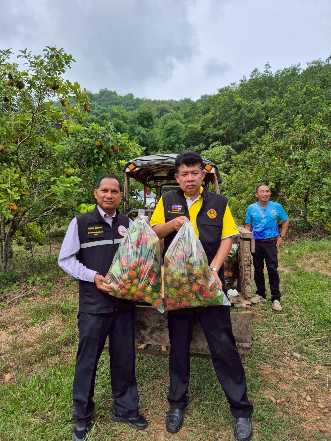 ภาพประกอบที่ 20