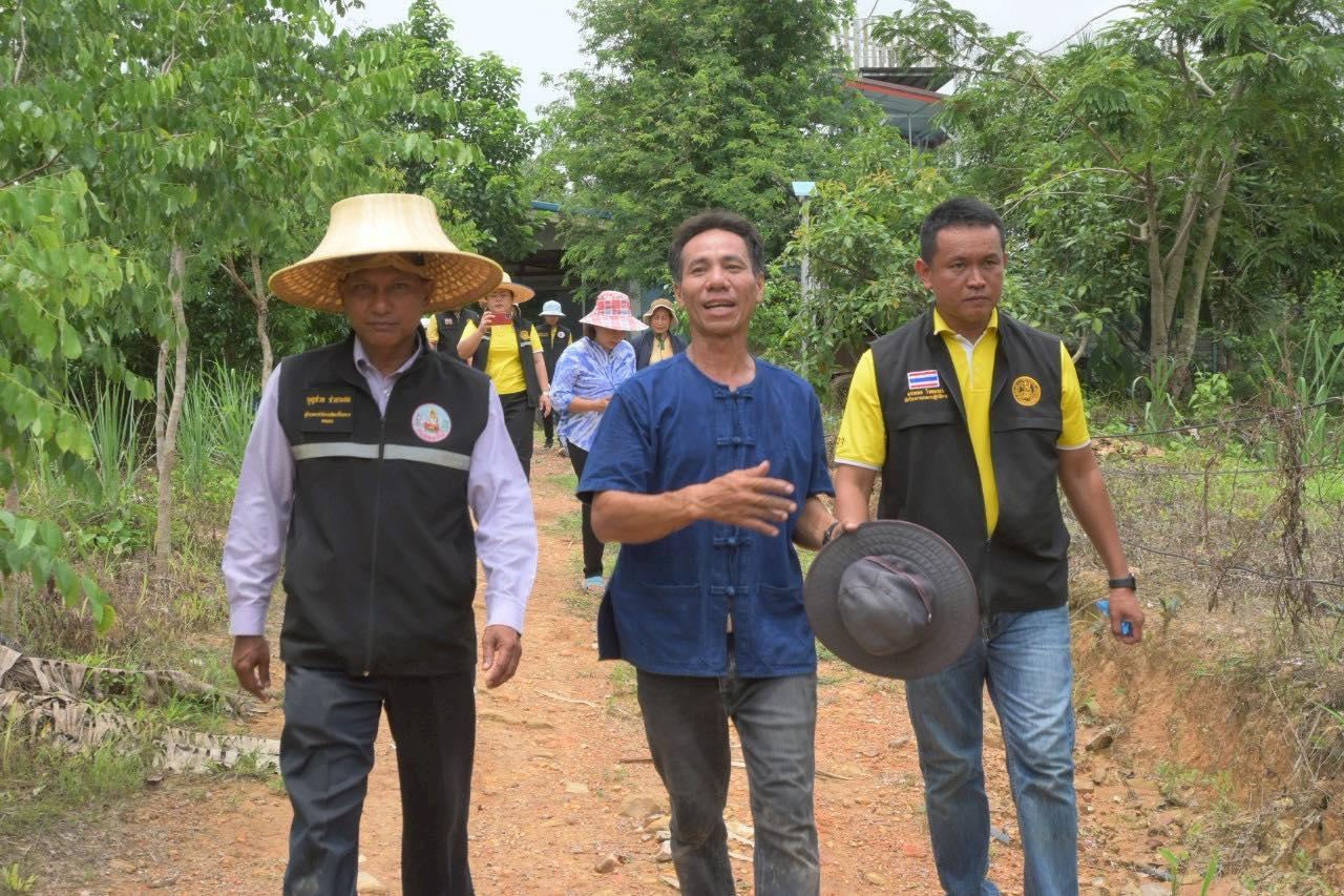 ภาพประกอบที่ 1