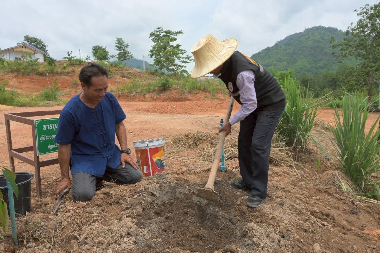 ภาพประกอบที่ 2