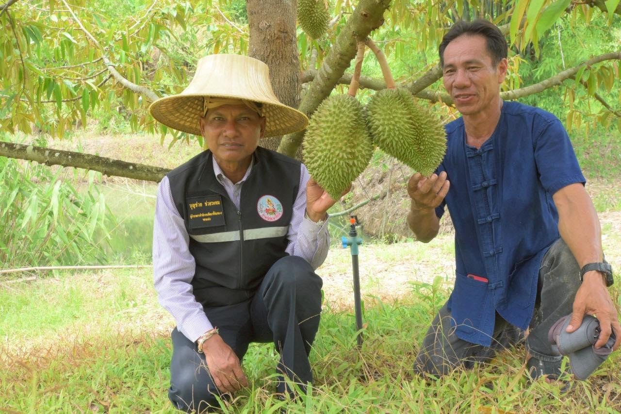 ภาพประกอบที่ 3