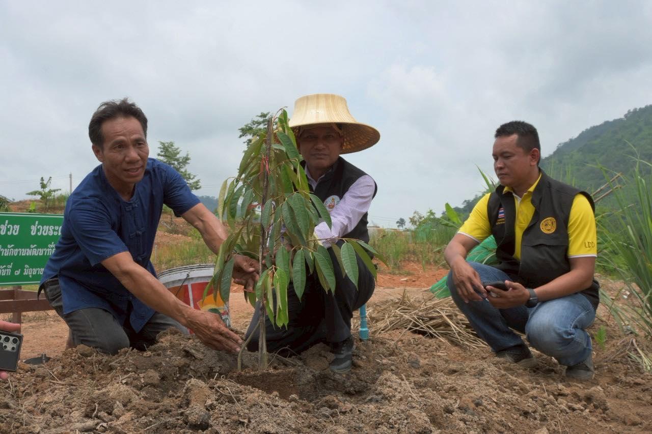 ภาพประกอบที่ 4