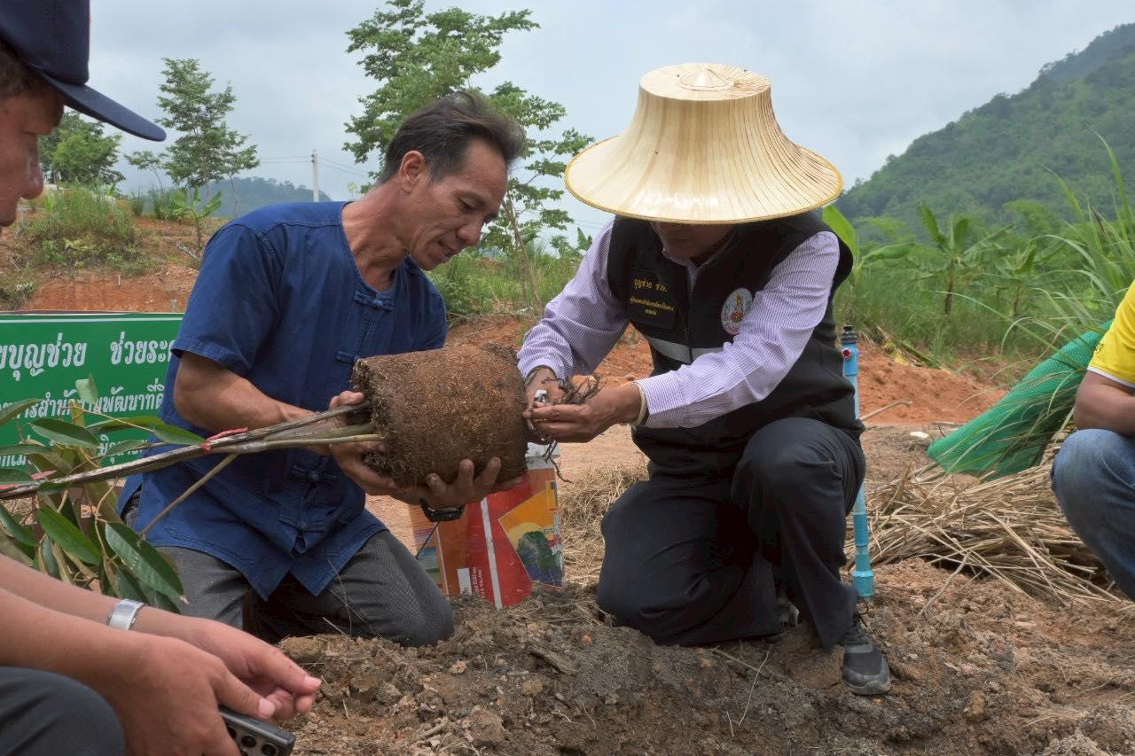 ภาพประกอบที่ 7