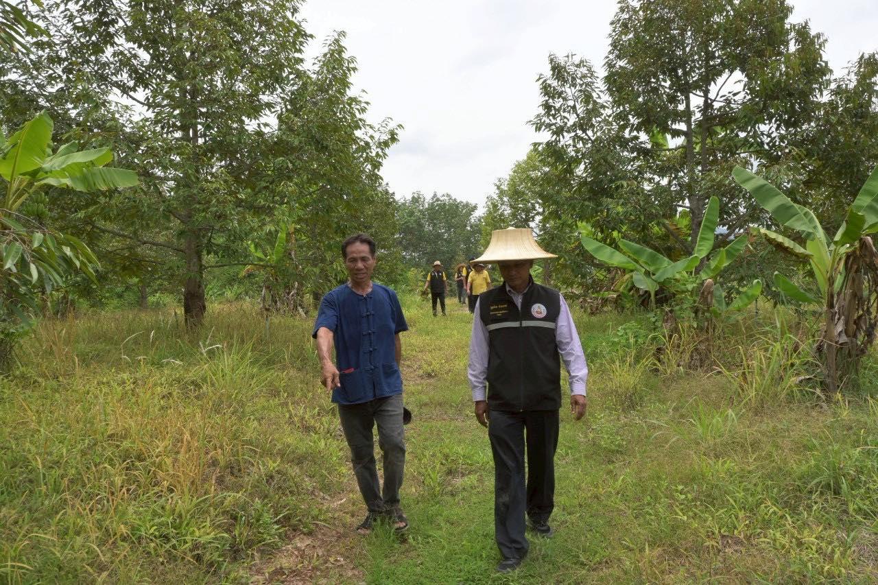 ภาพประกอบที่ 9