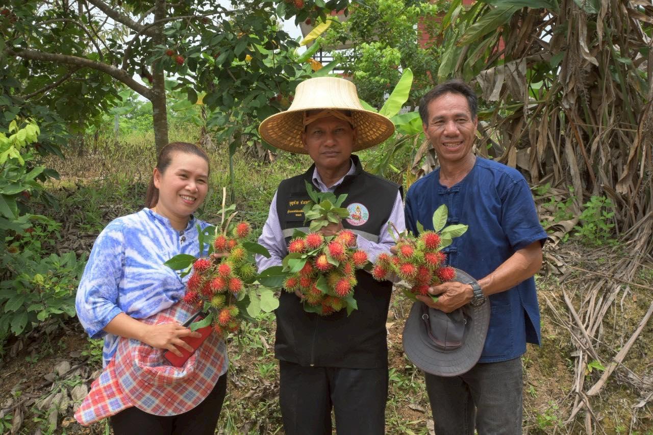 ภาพประกอบที่ 10