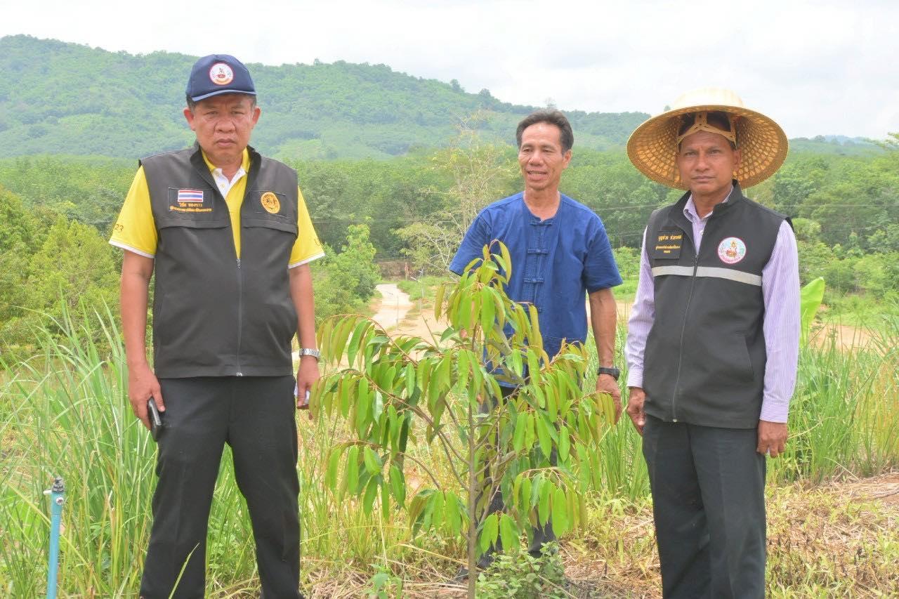 ภาพประกอบที่ 15