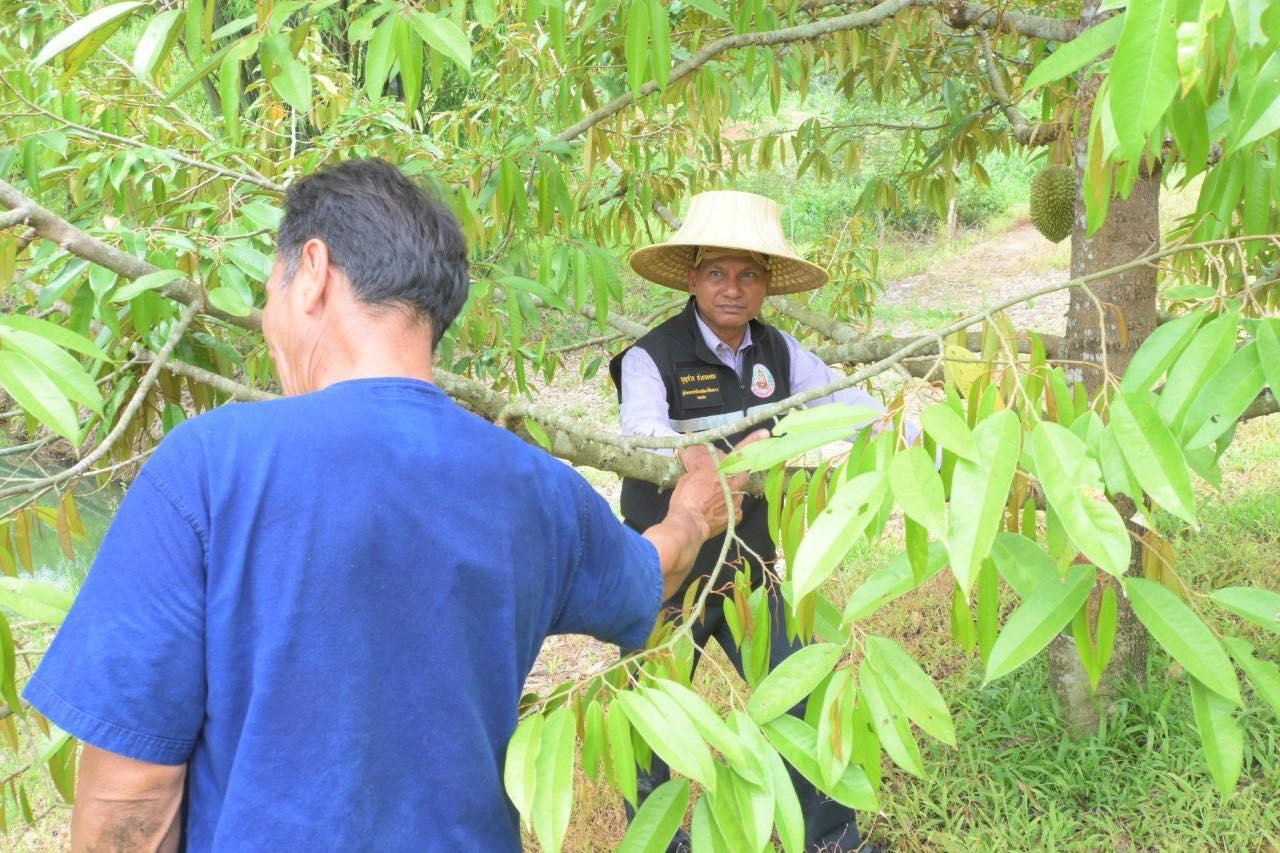 ภาพประกอบที่ 16