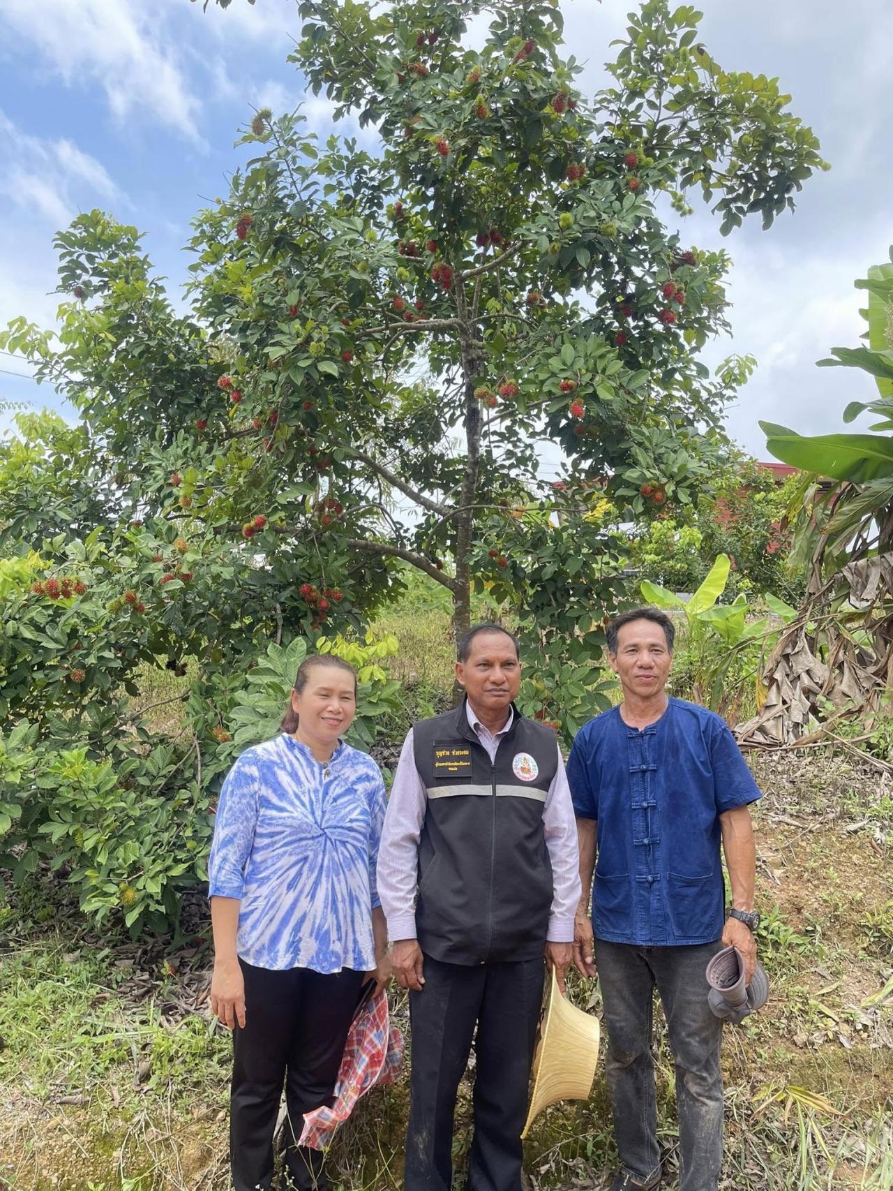 ภาพประกอบที่ 18