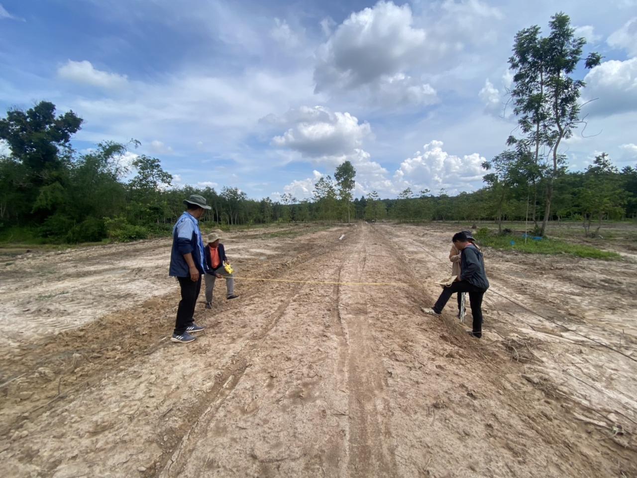 ภาพประกอบที่ 11