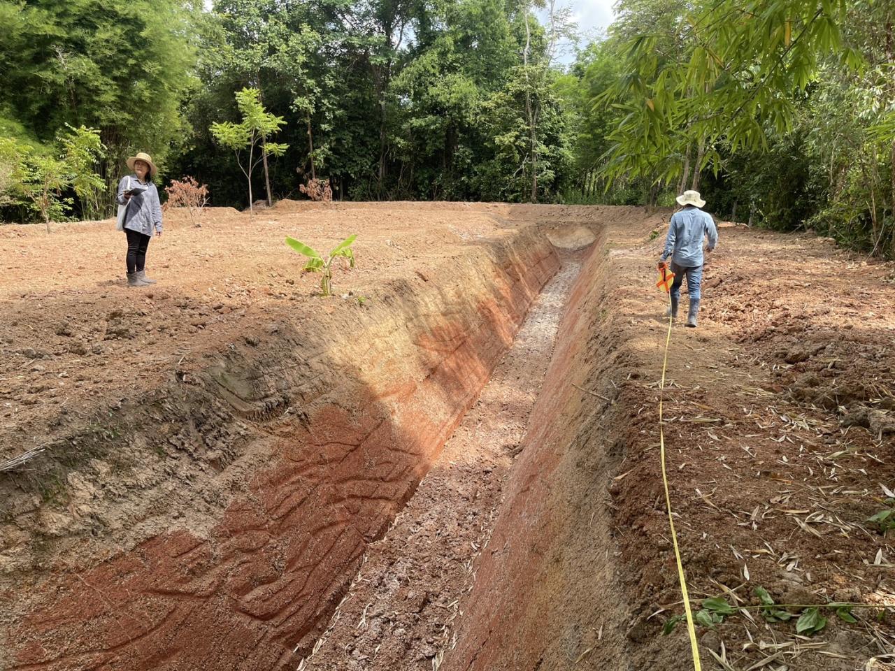 ภาพประกอบที่ 1