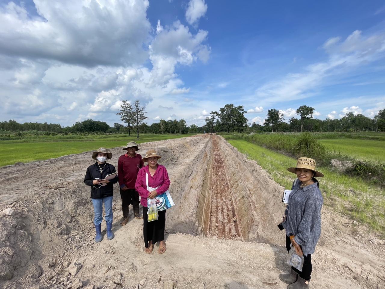 ภาพประกอบที่ 12
