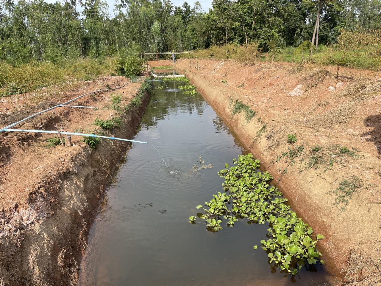 ภาพประกอบที่ 15