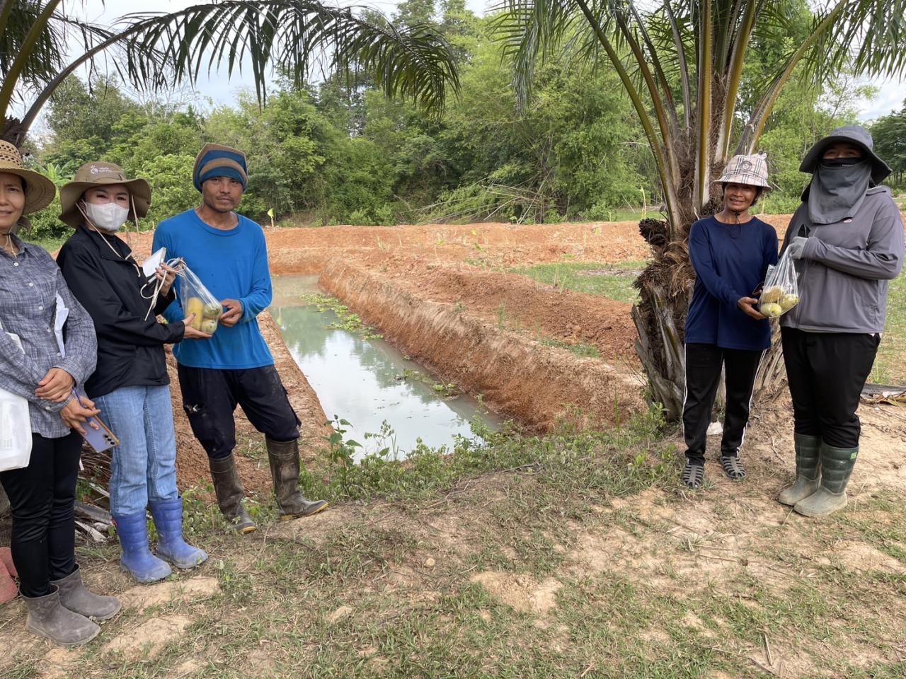 ภาพประกอบที่ 20