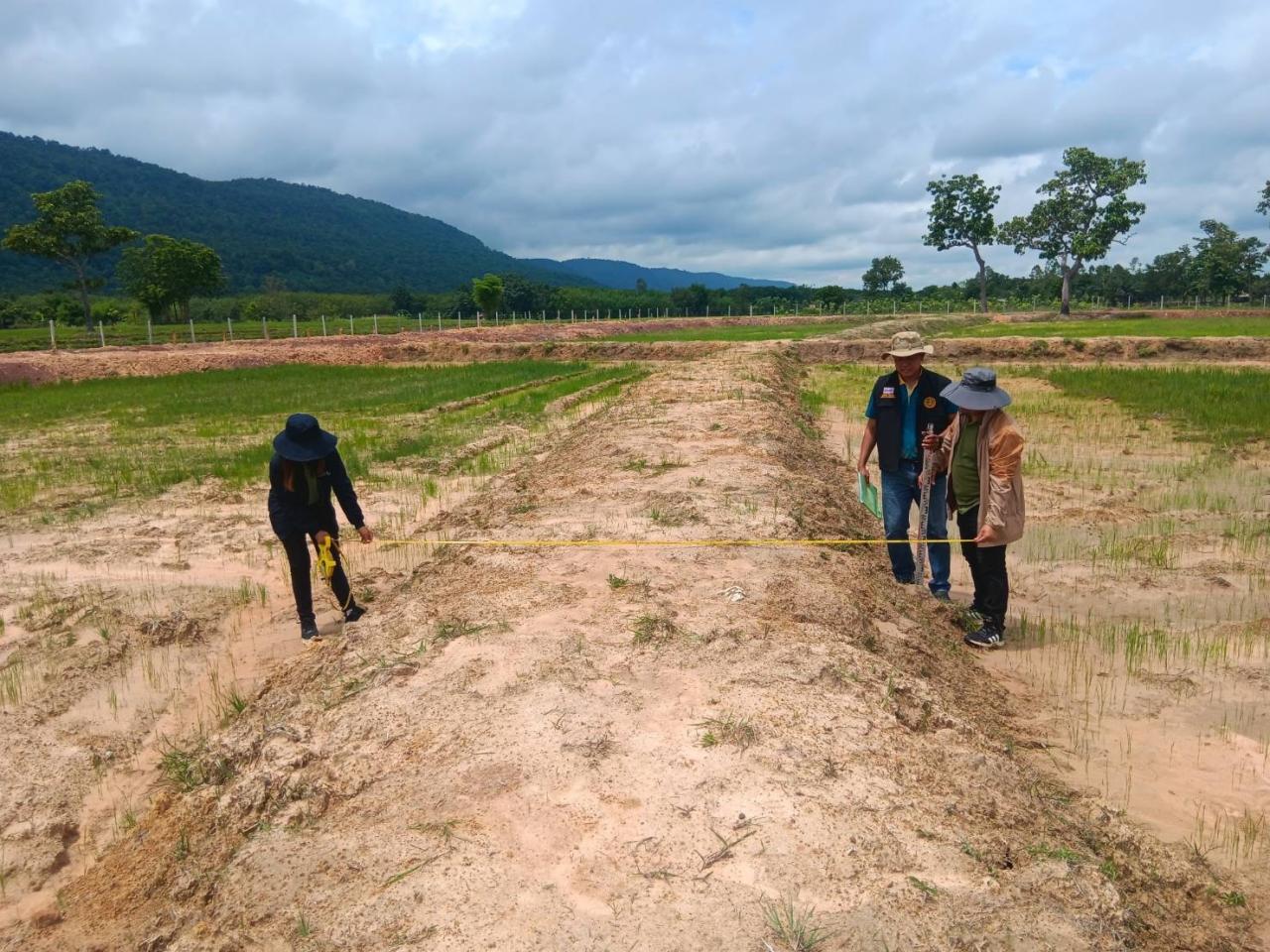 ภาพประกอบที่ 7