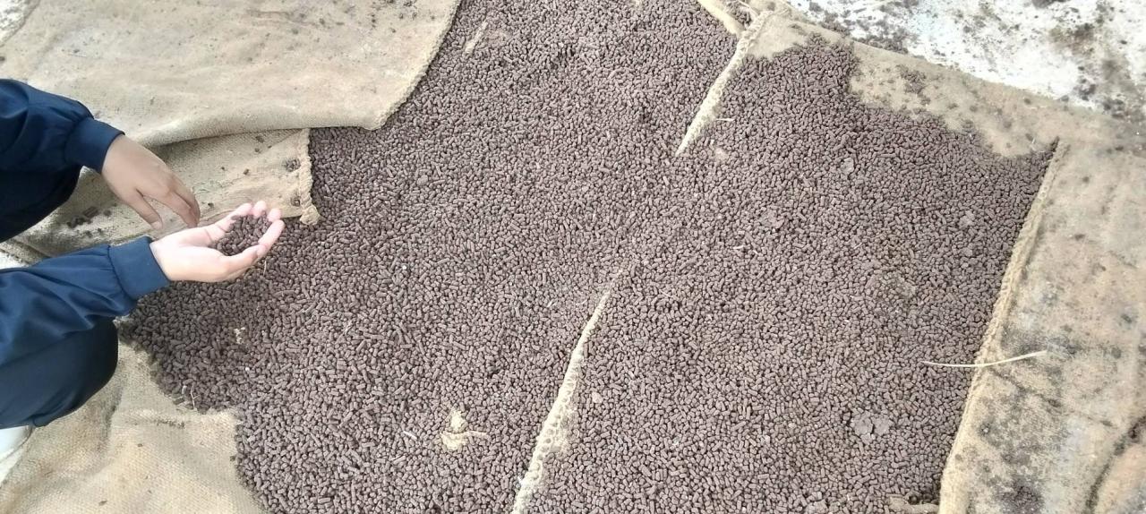 ภาพประกอบที่ 9