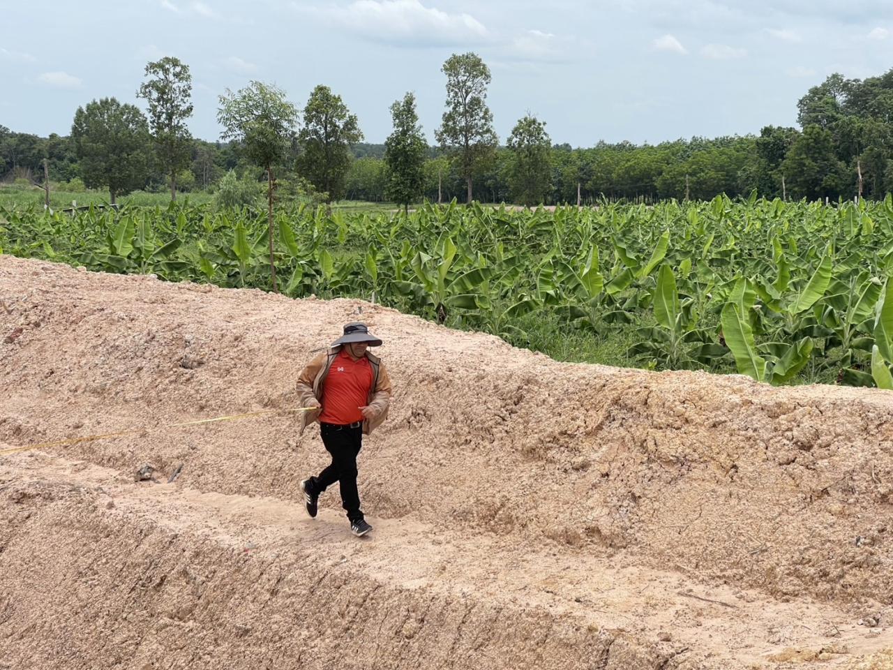 ภาพประกอบที่ 11