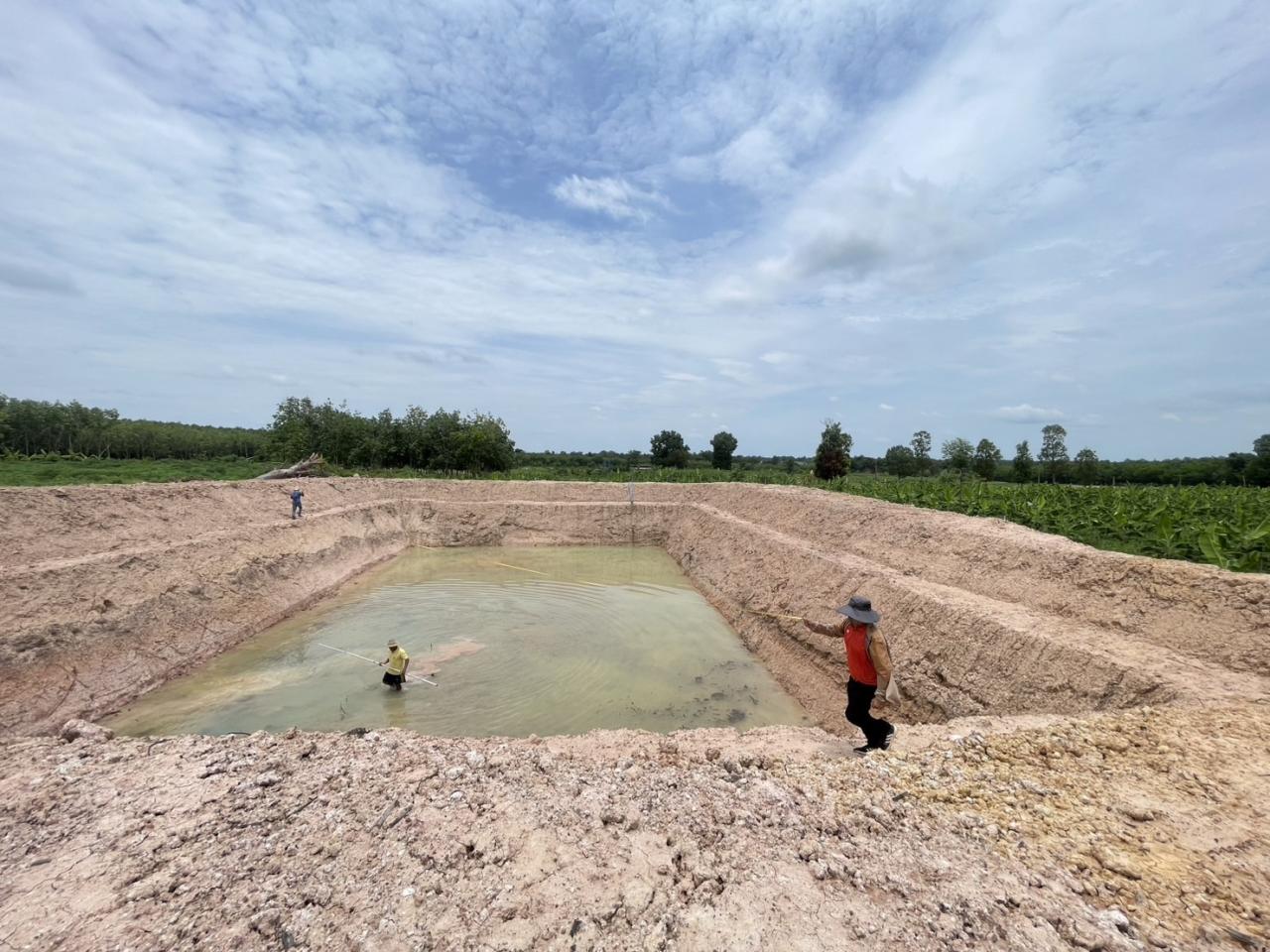 ภาพประกอบที่ 12