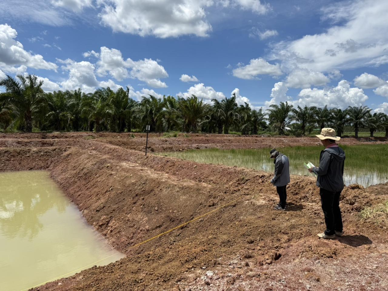 ภาพประกอบที่ 1