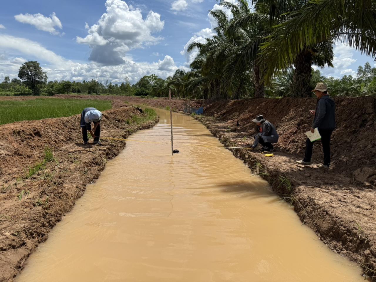 ภาพประกอบที่ 6