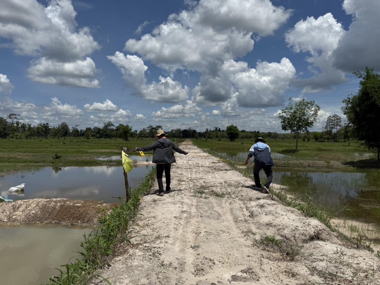 ภาพประกอบที่ 7