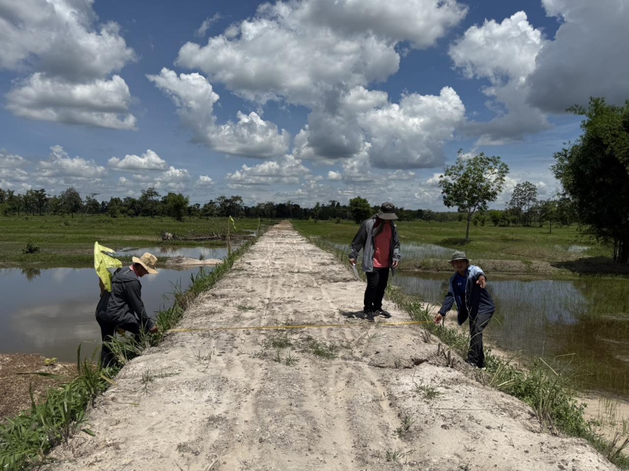 ภาพประกอบที่ 8