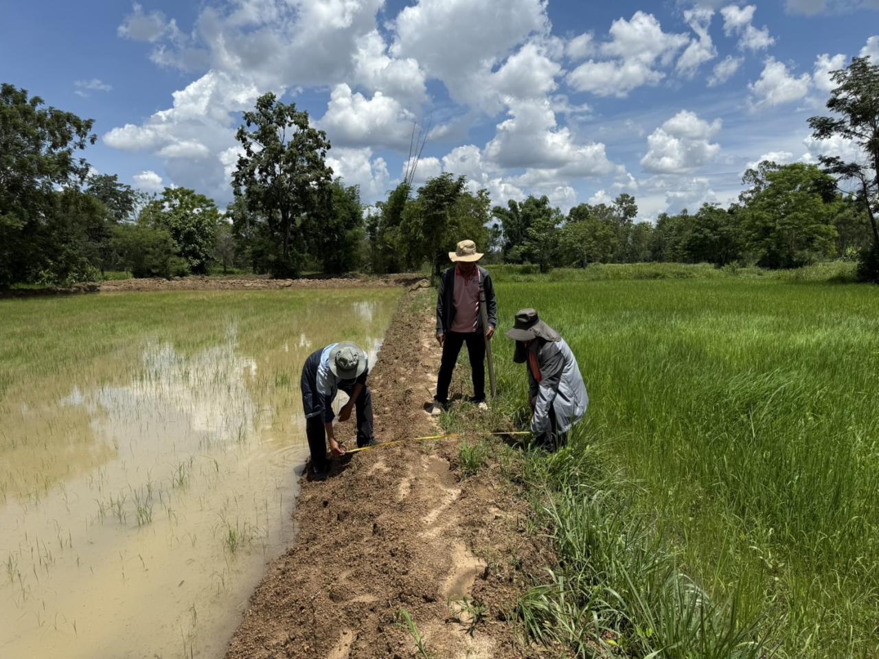 ภาพประกอบที่ 14