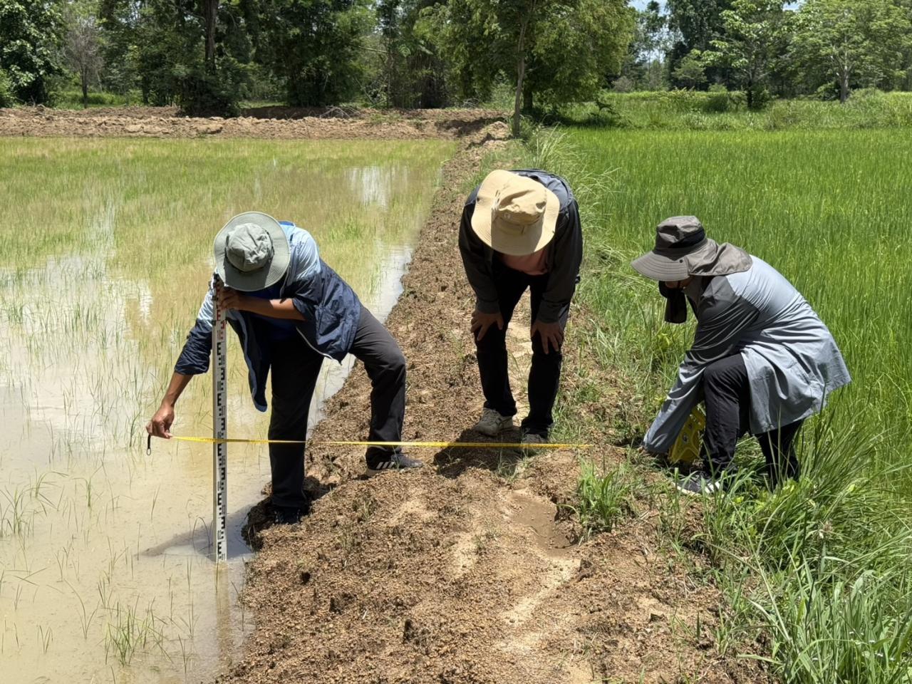 ภาพประกอบที่ 15