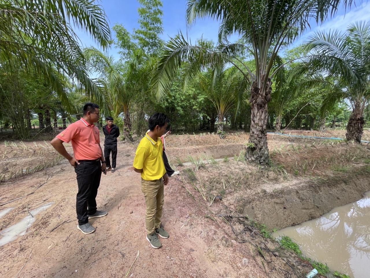 ภาพประกอบที่ 38