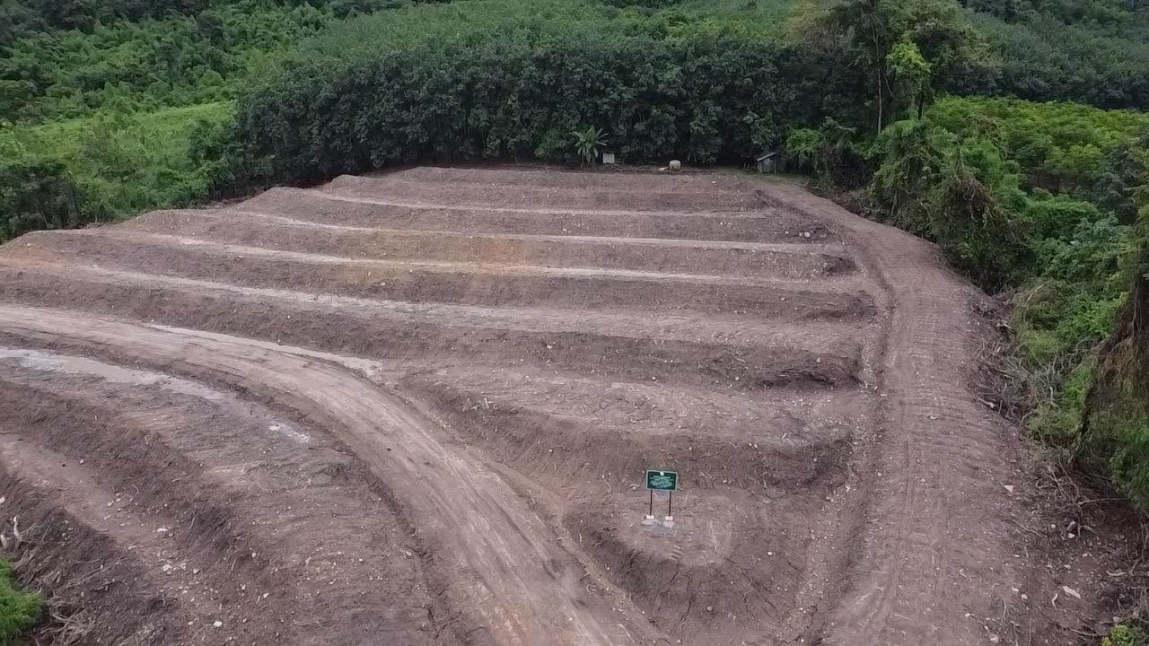 ภาพประกอบที่ 5