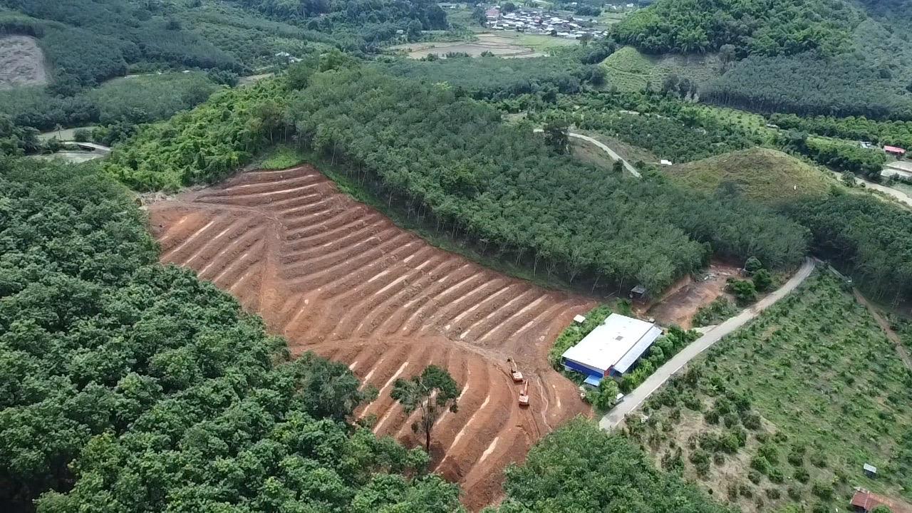 ภาพประกอบที่ 6