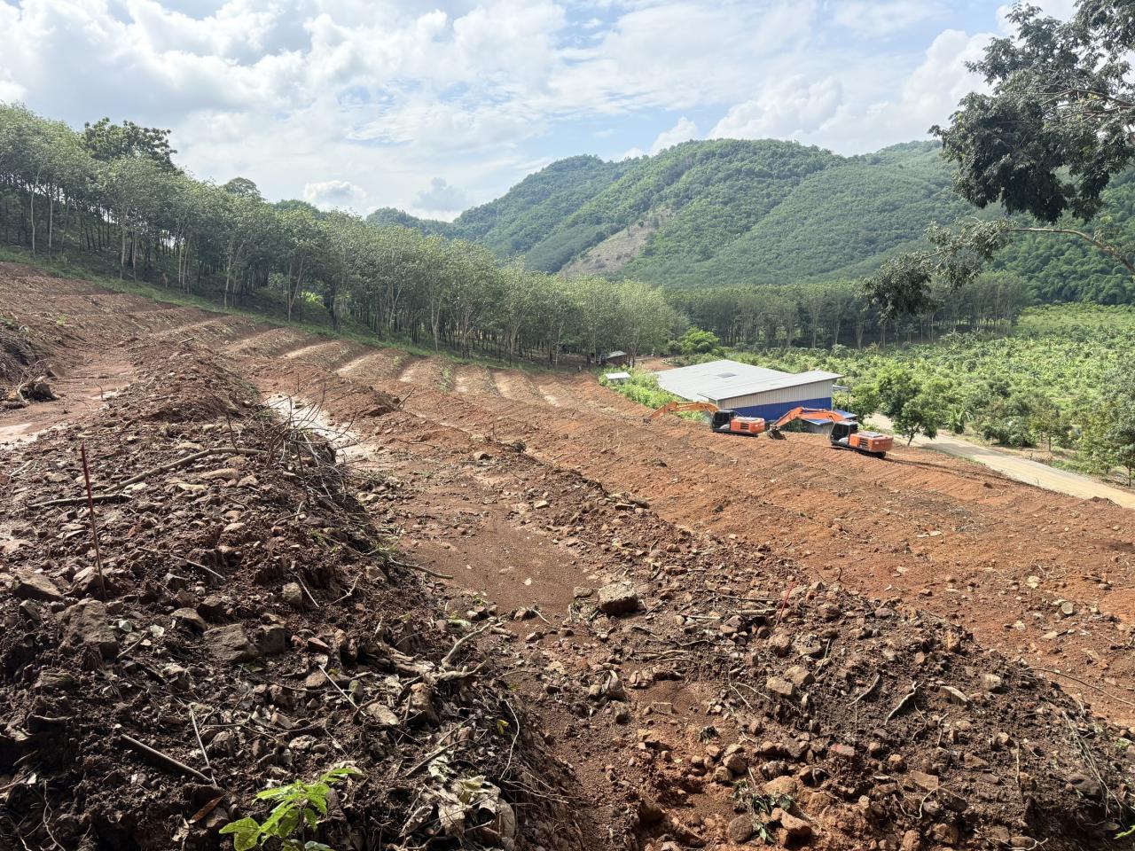 ภาพประกอบที่ 8