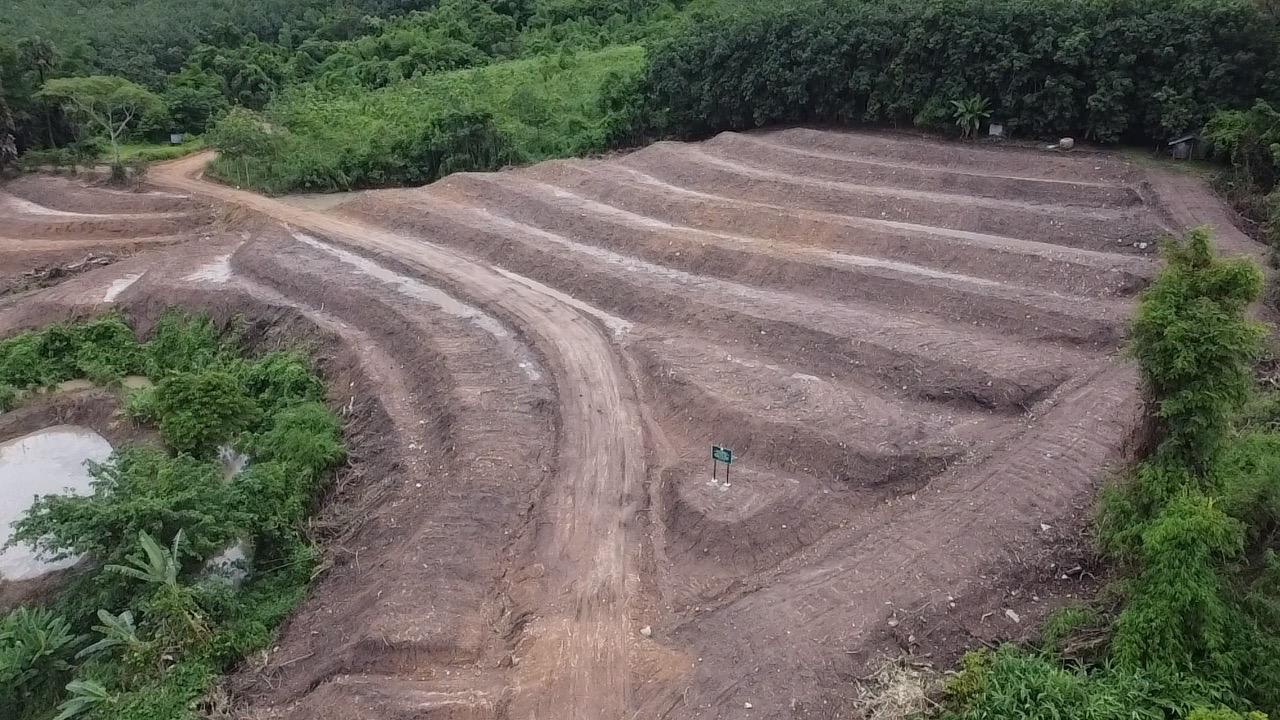 ภาพประกอบที่ 8