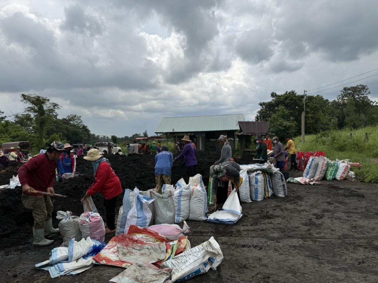 ภาพประกอบที่ 8