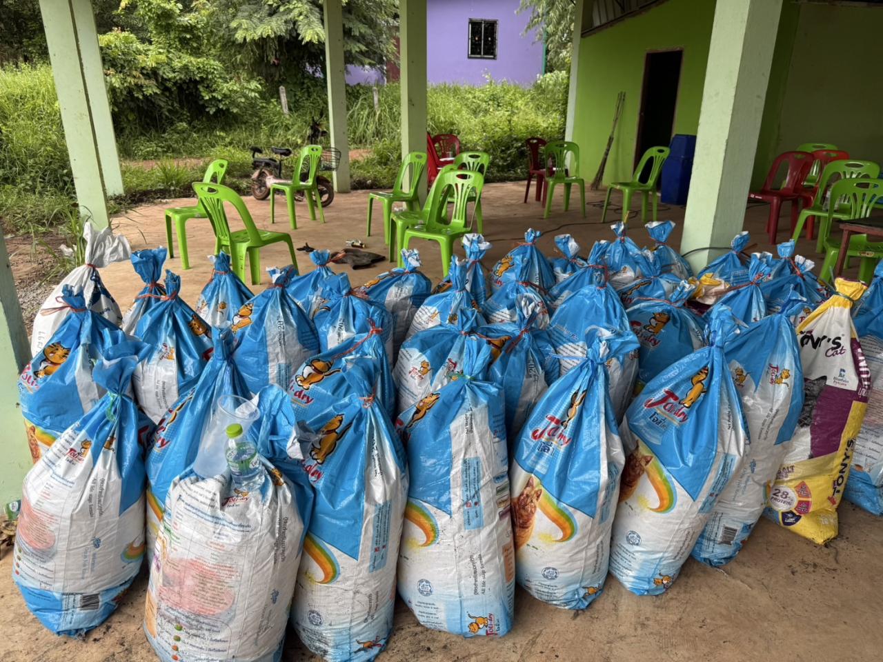 ภาพประกอบที่ 10