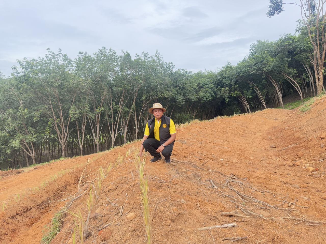 ภาพประกอบที่ 0