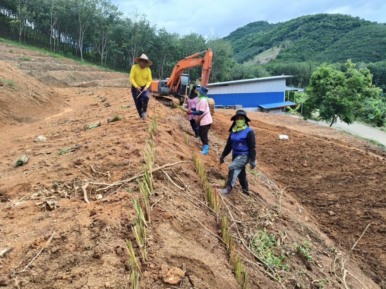 ภาพประกอบที่ 3