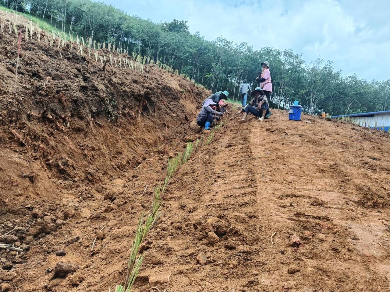 ภาพประกอบที่ 5