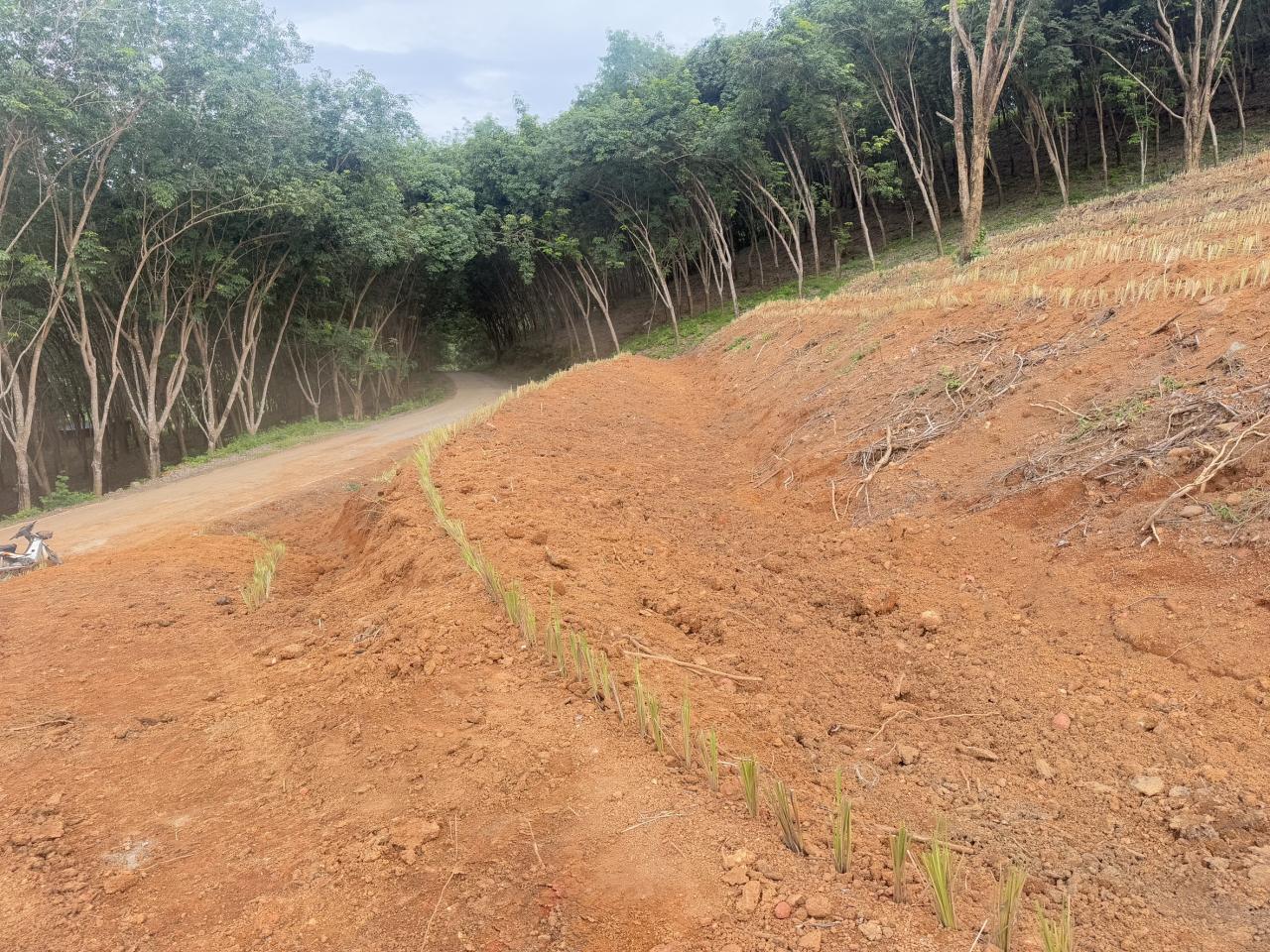 ภาพประกอบที่ 6