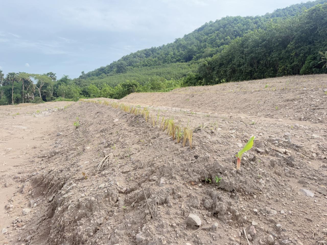 ภาพประกอบที่ 8